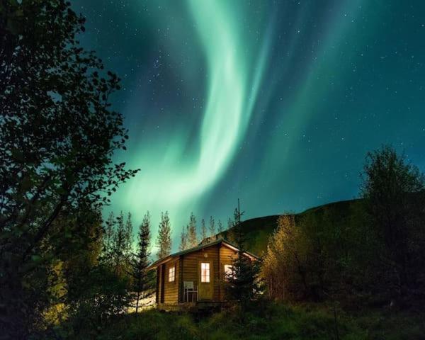 Arngrimslundur Log Cabin - Cabin 3 Villa Flúðir Eksteriør billede